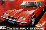 Buick skyhawk 1975 1/24 pienoismalli  