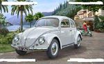 Volkswagen kupla beetle 1951  1/16