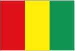 Guinea  lippu   